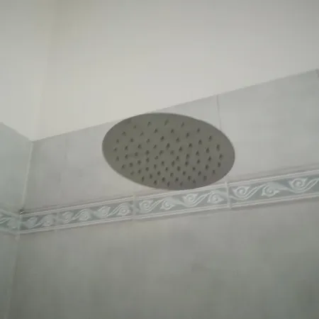 Oasi *